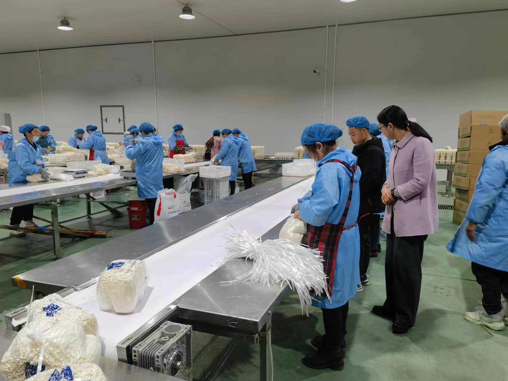 义安区人大常委会深入调研农产品企业食品安全工作