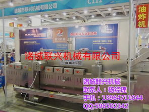 陕西豌豆油炸设备 诸城联兴机械的专业解决方案
